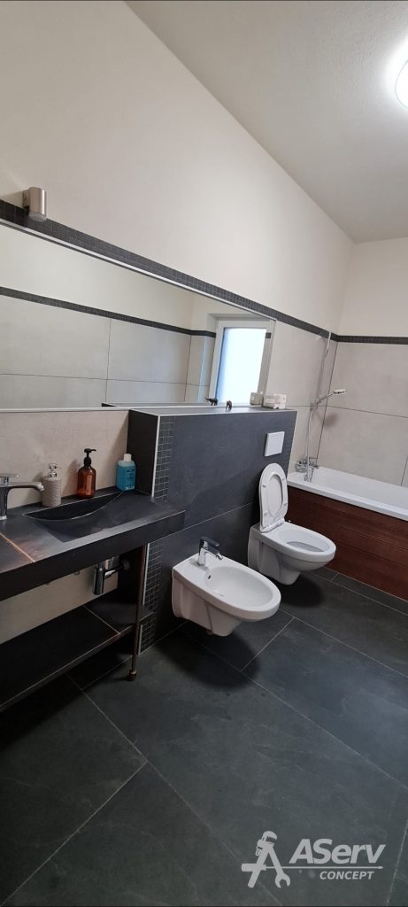 obiecte-sanitare-bai-montaj-aserv-concept-mosnita-timisoara-6