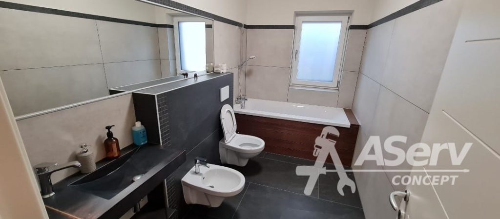 obiecte-sanitare-bai-montaj-aserv-concept-mosnita-timisoara-7